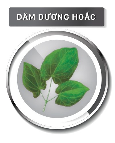 la_dam_duong_hoac_
