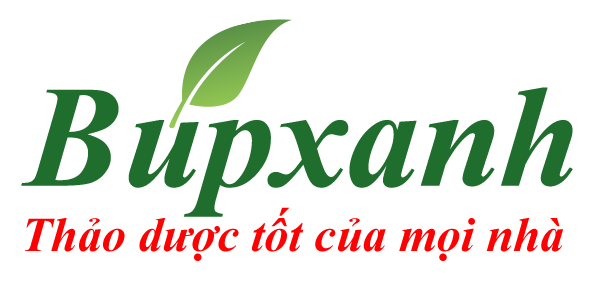 logo_bupxanh_1