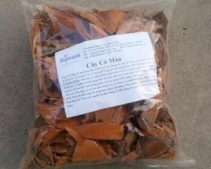 Địa chỉ bán cây cỏ máu