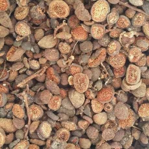 Địa chỉ bán quả sung khô