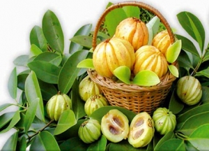 Quả bứa